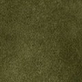Wally Olive Suede Ankle Boot with Side Zip & Blade Heel