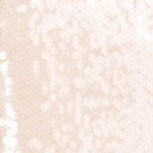 Casey Sequin Dress with Back Slit & Hidden Zipper | Moon