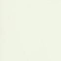 Dena Pale Jade Cotton Poplin Dress – Fitted Bodice & Drop Waist