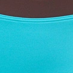 Gwen Teal Dark Chocolate Bikini Bottom - V Detail Swimwear