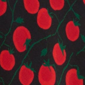 Lucca Black Tomato Print Halter Mini Dress for Summer