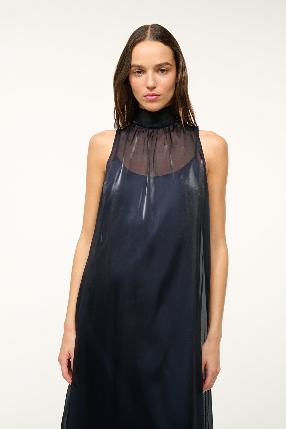 Albee Black Organza Sleeveless Dress with High Neck & Back Tie