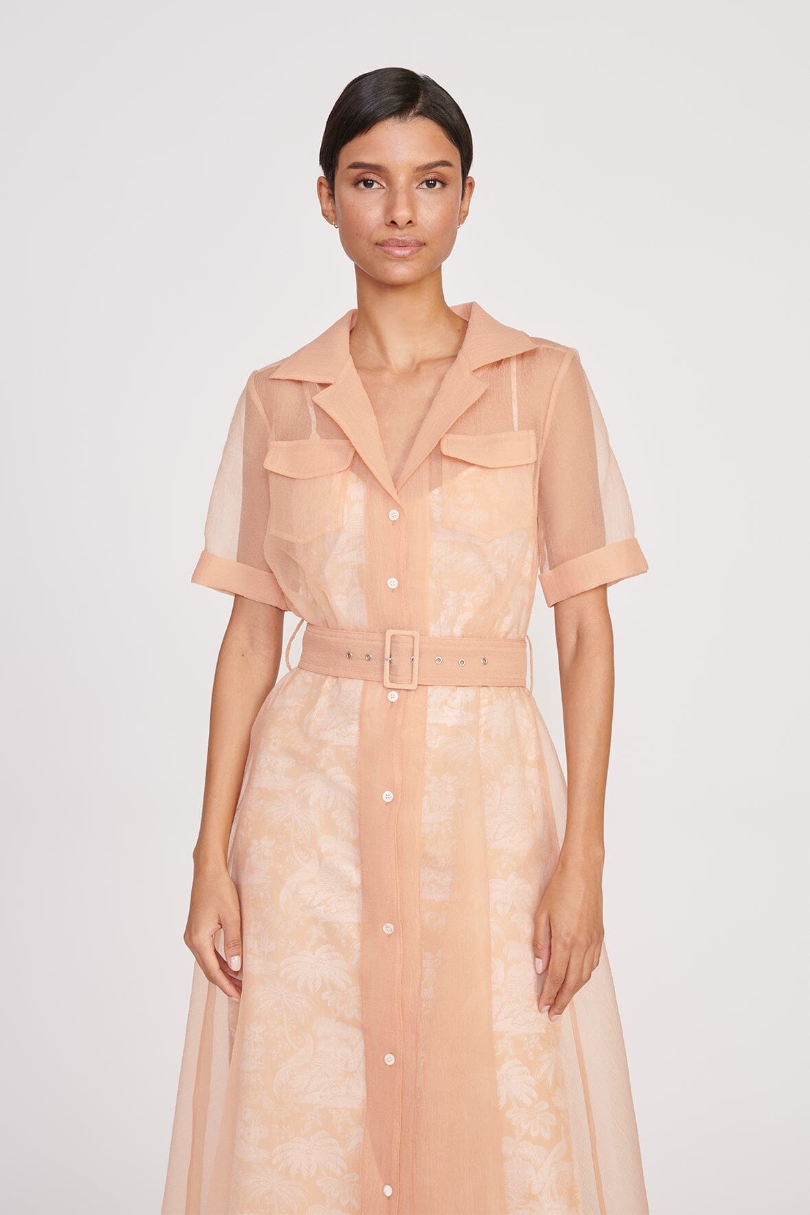 Millie Beige Ivory Toile Dress with Removable Belt & Pockets