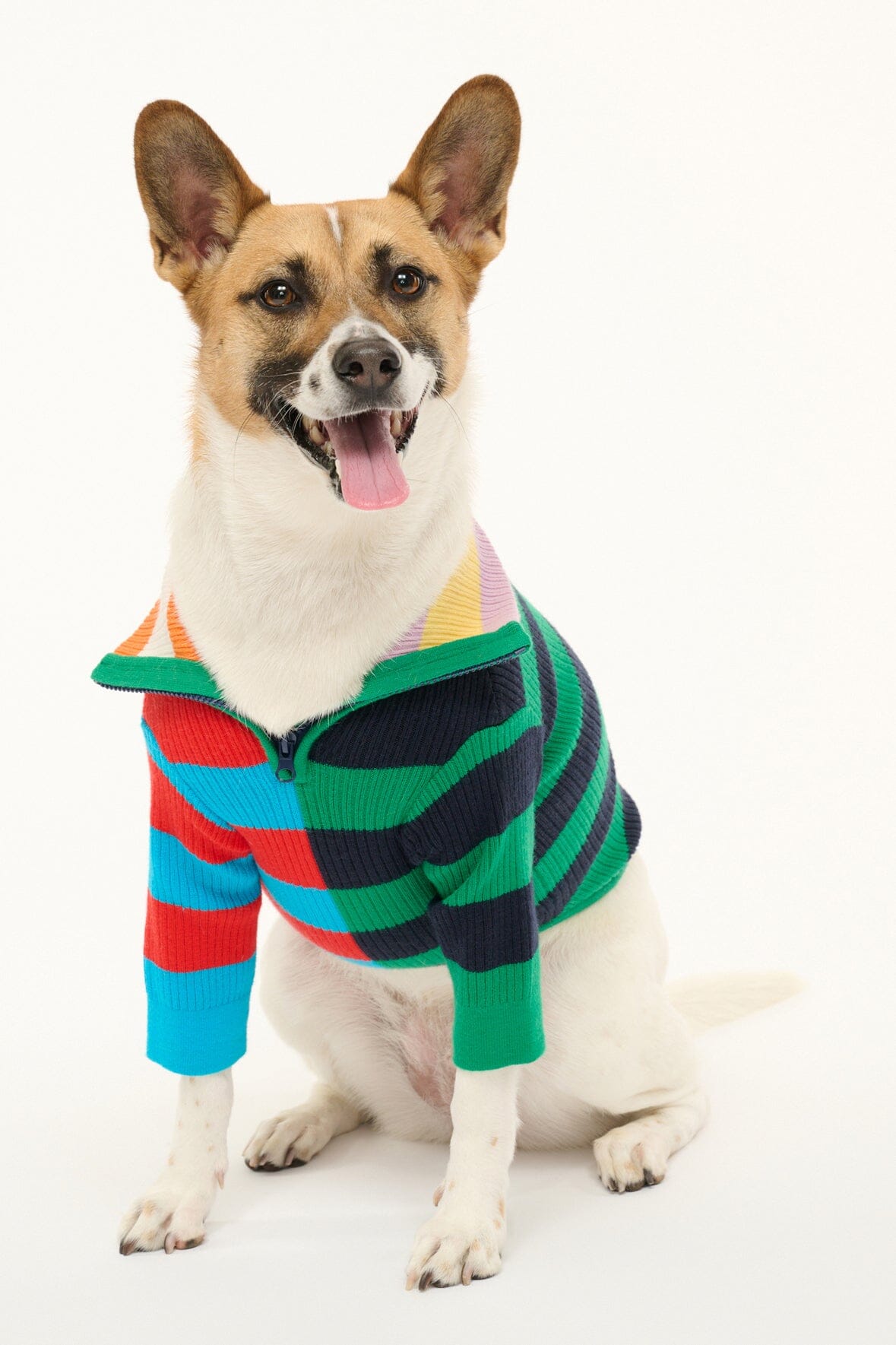 Pet Hampton Sweater - Cabana Stripe Dog Sweater