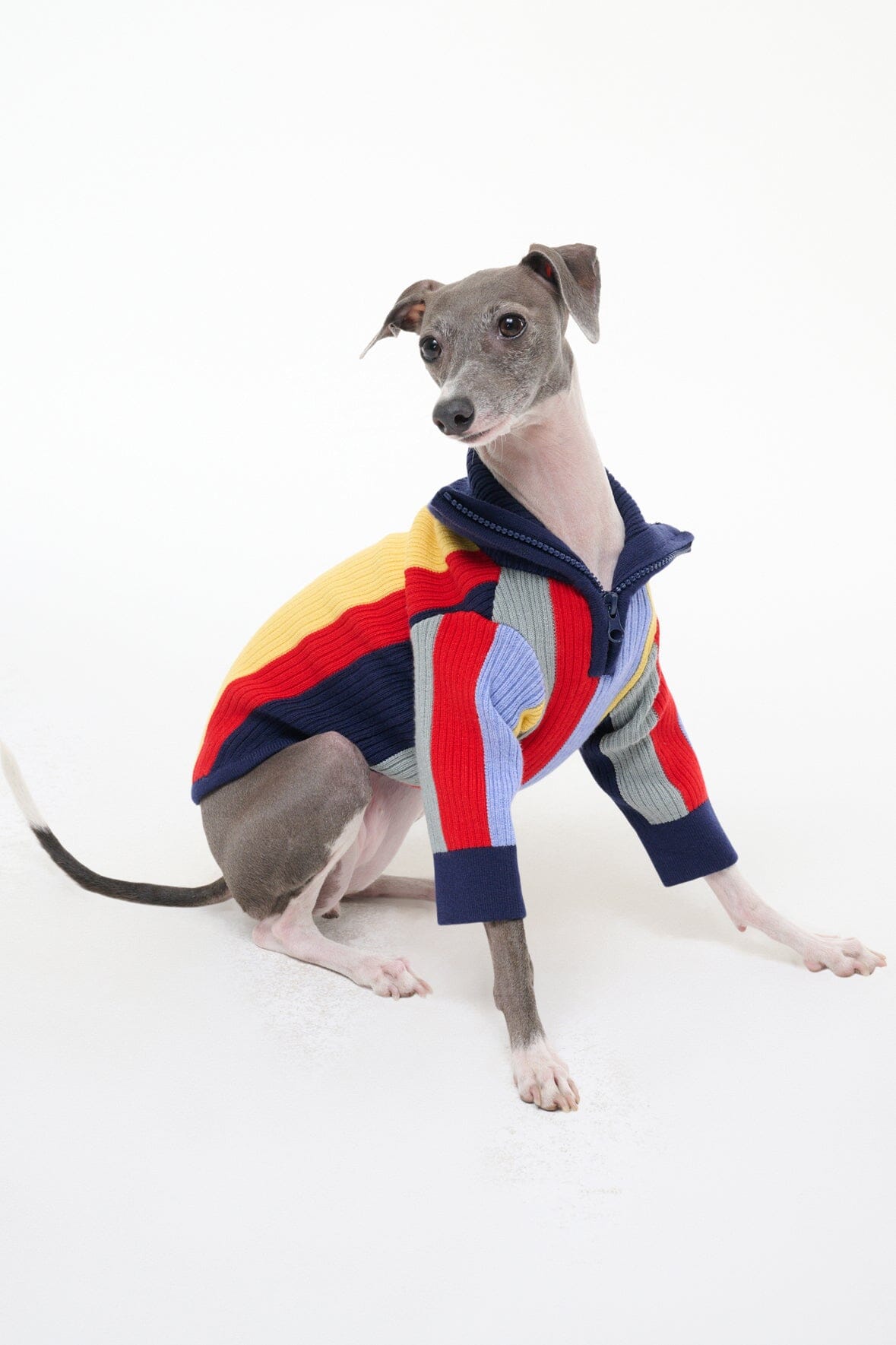 Dog Sweater Hampton Market Stripe Half-Zip Rib Knit