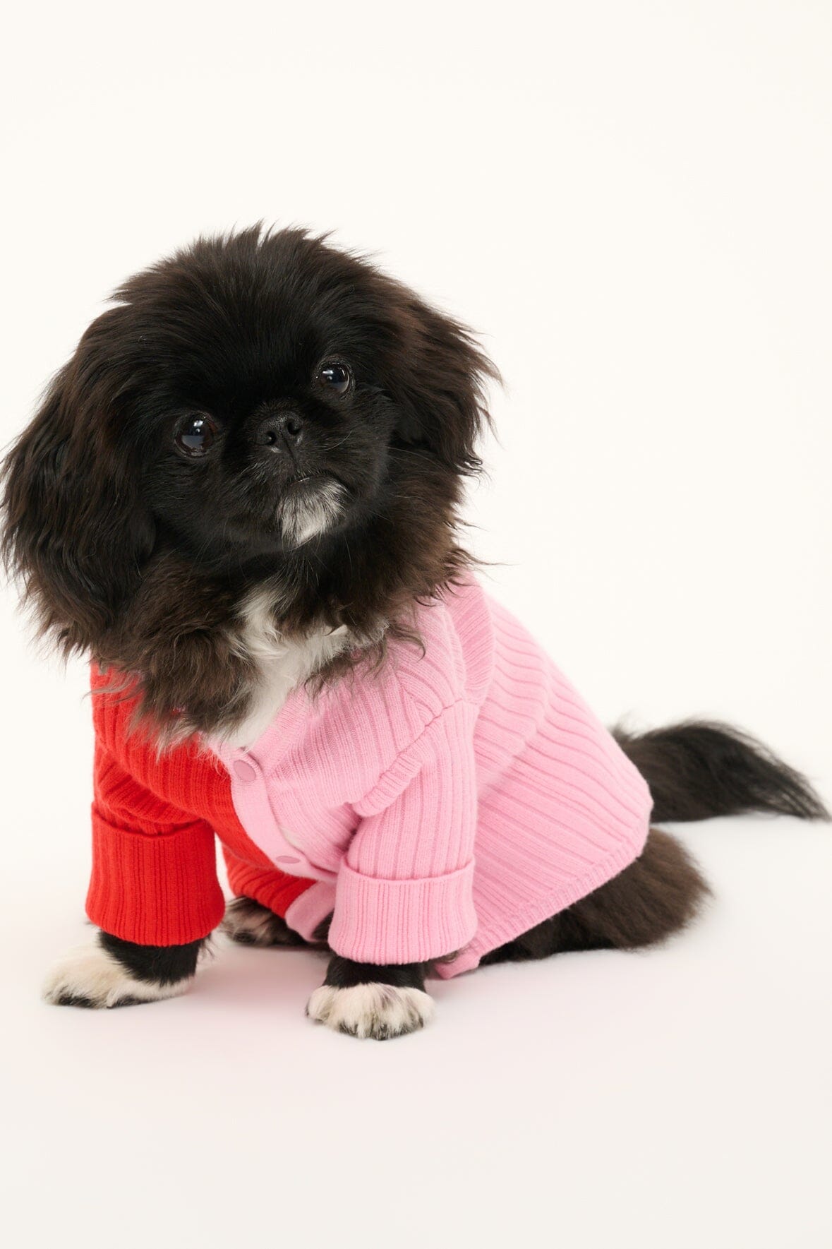 Pet Shoko Sweater for Dogs - Poppy Rosebud Knit with Snap Buttons